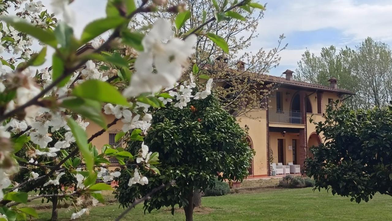 Il Chiassetto Agriturismo No Kids Cascina Buitenkant foto