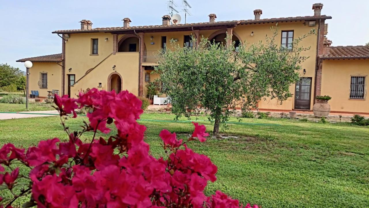 Il Chiassetto Agriturismo No Kids Cascina Buitenkant foto