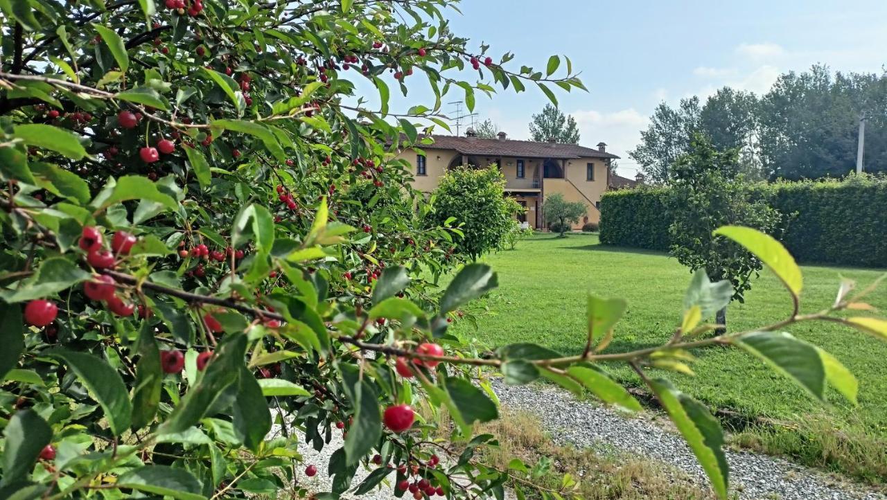 Il Chiassetto Agriturismo No Kids Cascina Buitenkant foto