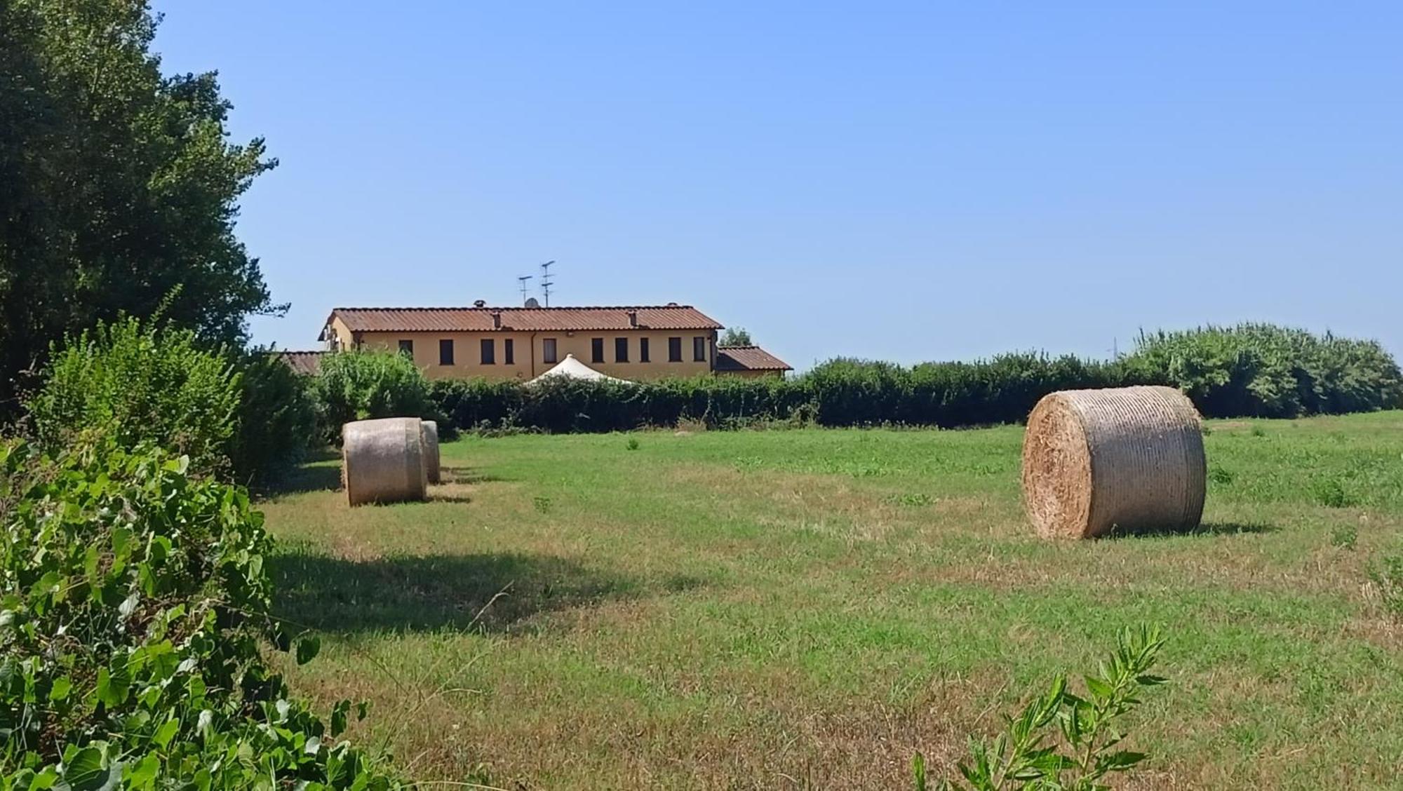 Il Chiassetto Agriturismo No Kids Cascina Buitenkant foto